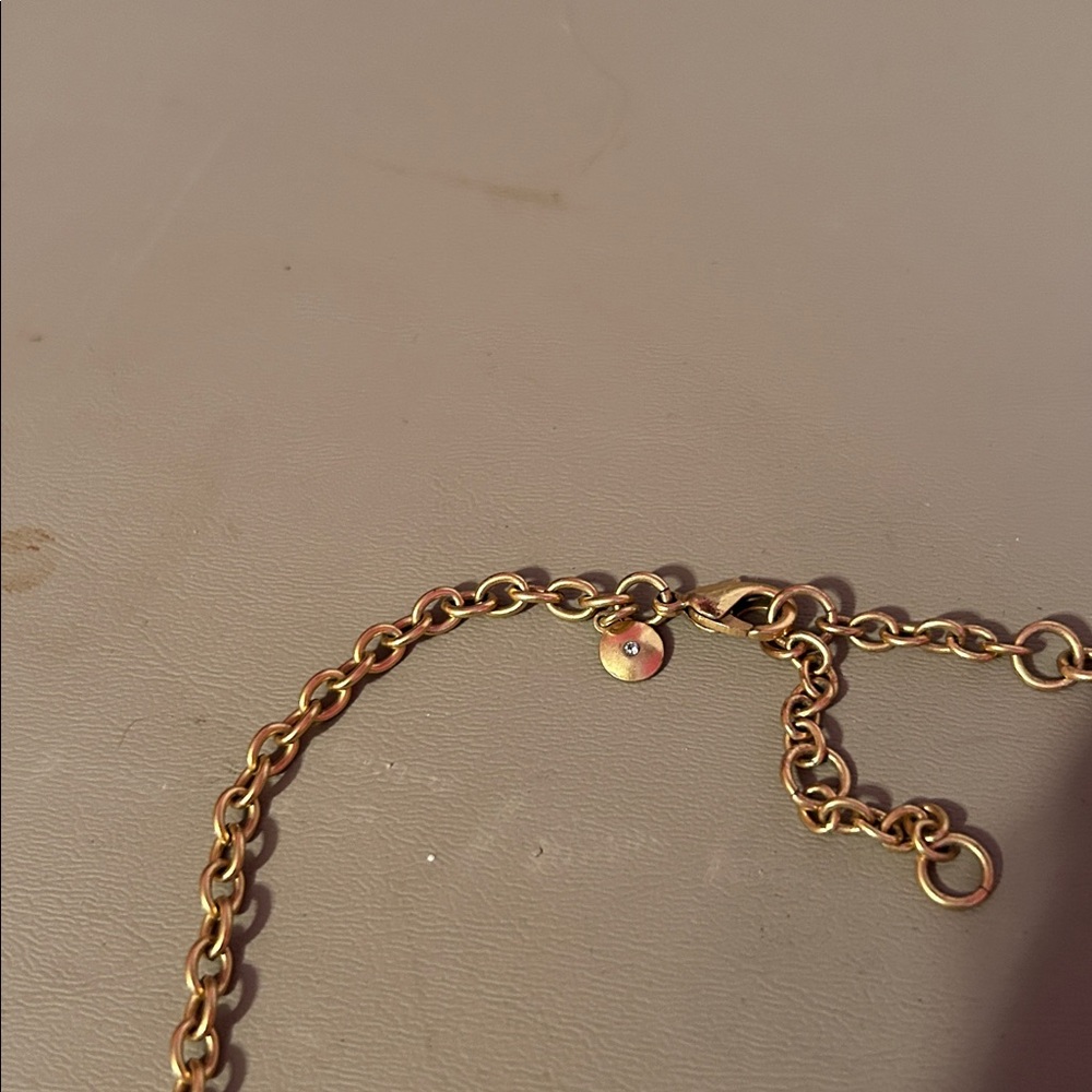 JCrew Iridescent Crystal Necklace on Tortoise Discs - Picture 5 of 6